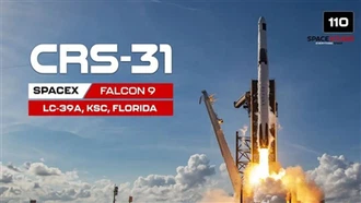 Durante a feroz batalha eleitoral, Musk rejeitou o apoio ao foguete Falcon! E...